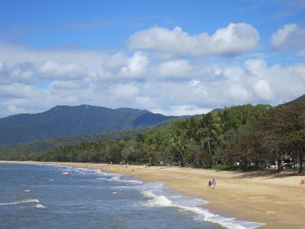 Palm Cove