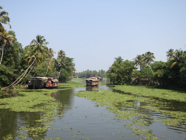 Backwaters