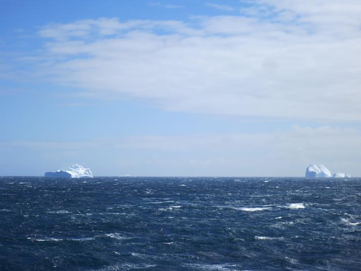 First Icebergs