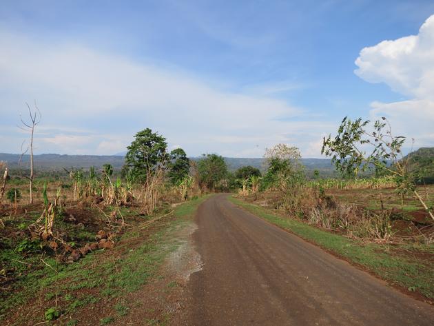 Road in the countryside