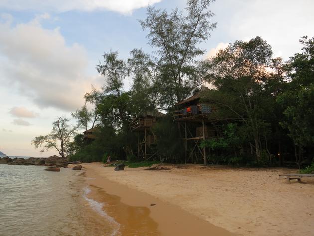 Treehouse Bungalows