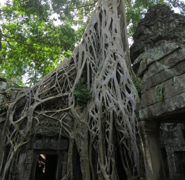 Ta Prohm